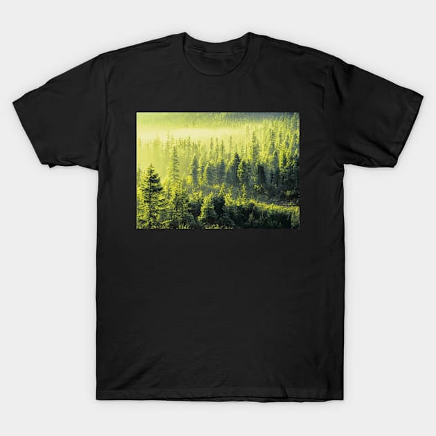 Forest Oil painting T-Shirt by Voodoo Production